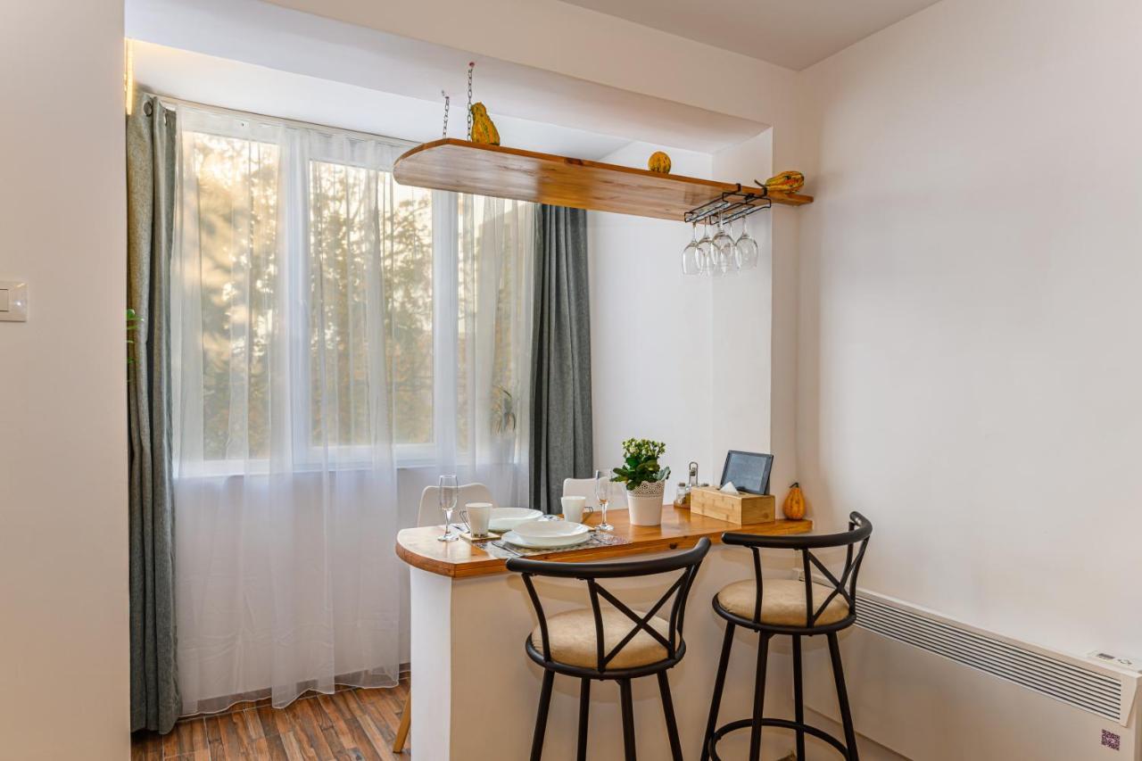 Jad - Family - Apartments & Studios Braşov Buitenkant foto
